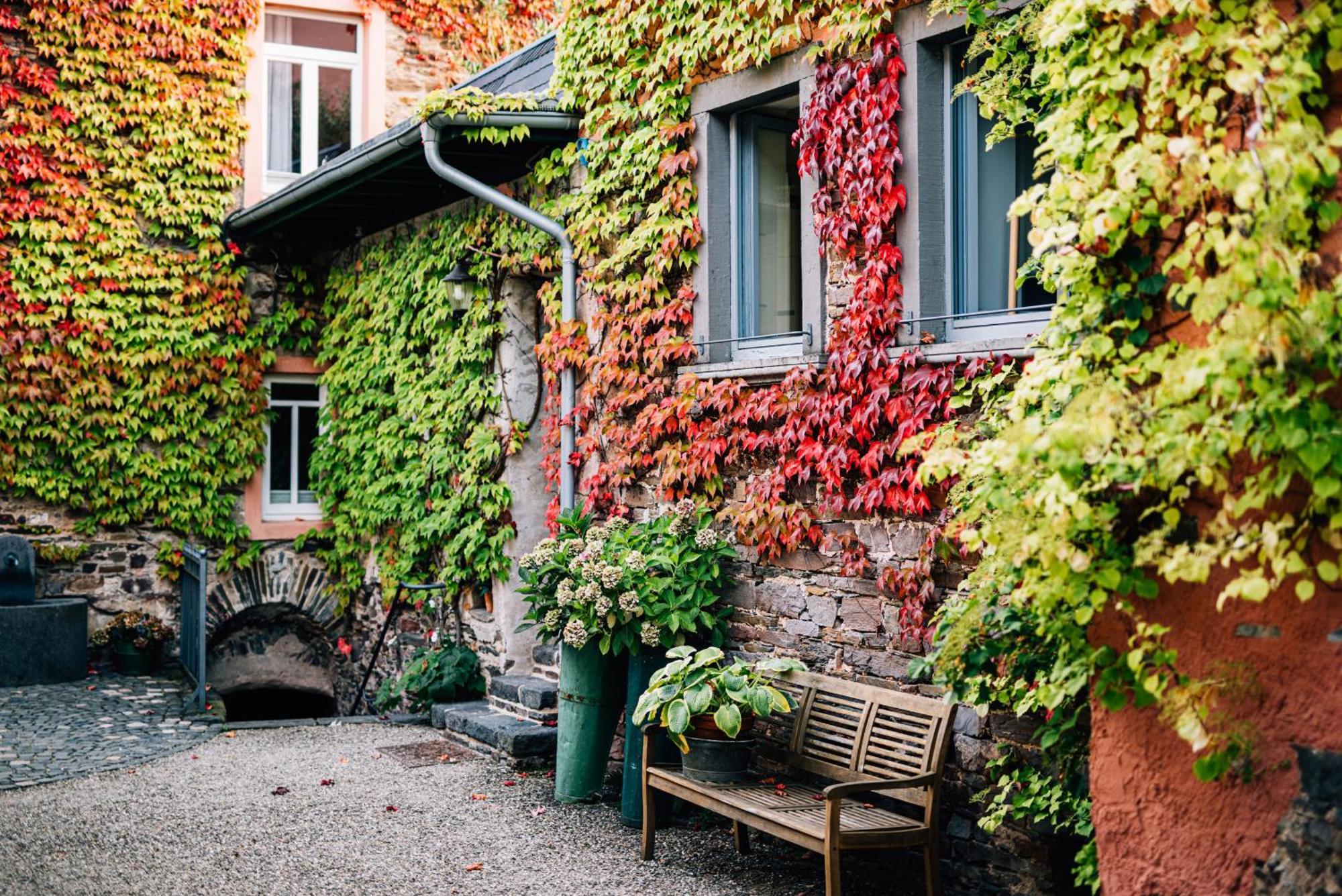 Villa Senhalser Höfe Senheim Zimmer foto